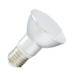 Ampoule LED E27 5W 450 lm PAR20 IP65 Blanc froid 6000K