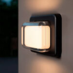 Applique murale extérieure rectangulaire noire avec diffuseur opalin et capot transparent