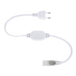 Câble d'alimentation pour ruban LED blanc, prise européenne 2 broches et boîtier contrôleur intégré