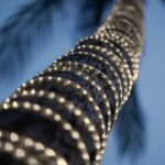 Gaine LED ronde blanc chaud enroulée sur tronc de palmier pour éclairage extérieur