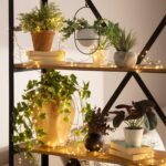 Guirlande LED blanc chaud enroulée sur étagères décorées de plantes