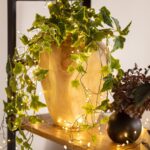 Guirlande LED blanc chaud à fil fin enroulée autour d'un pot avec plante grimpante