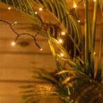 Guirlande LED blanc chaud suspendue autour de plantes pour éclairage extérieur