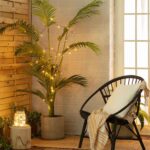 Guirlande LED extérieure à lumière chaude enroulée autour d'une plante en pot