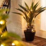Guirlande LED solaire à lumière chaude enroulée autour d'une plante en pot