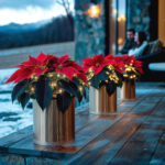Guirlande LED solaire enroulée autour de plantes poinsettia rouges, lumières blanc chaud, pots dorés sur terrasse extérieure