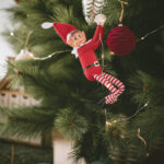 Guirlande LED fil de fer lumineuse enroulée autour d'une branche de sapin