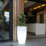 Jardinière lumineuse extérieure blanche translucide, forme haute conique, éclairage LED blanc froid, avec plante verte