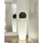 Jardinière lumineuse blanche translucide conique, pot autoportant avec plante taillée en boule
