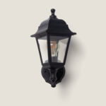 Applique murale extérieure en métal noir mat, style lanterne, verre transparent et ampoule visible