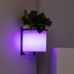 Applique murale jardinière LED cube blanc, fixation murale noire, éclairage violet, plante verte intégrée