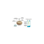 Lampe LED portable beige en forme d'ampoule ronde, base bois, poignée de transport