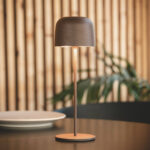 Lampe à poser rouille, abat-jour rond, tige fine et base circulaire