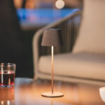 2 W avec Batterie Rechargeable Willox Rouille