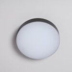 Plafonnier LED rond diffuseur opalin blanc bord anthracite montage plafond extérieur étanche