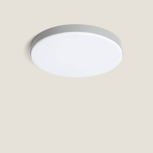 Plafonnier LED Extérieur Rond 24W Dimmable Ø220 mm Gris