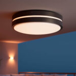 Plafonnier rond extérieur noir aluminium avec diffuseur blanc pour montage plafond