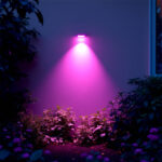 Projecteur LED mural émettant lumière rose-violette, boîtier noir compact, fixation murale pour extérieur