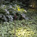 Projecteur LED sur piquet marron orientable pour jardin