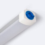 Réglette étanche LED blanche avec diffuseur opalin et embout bleu, profil aluminium, finition mate