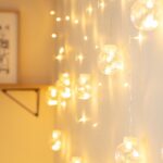 Rideau lumineux de boules transparentes LED suspendues, lumière blanche chaude, longueur 2,5 m