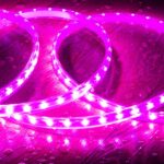 Ruban LED rose flexible encapsulé montrant LEDs SMD alignées