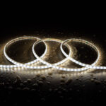 Ruban LED 220V en bobine, blanc froid 6000K, gaine étanche IP65, enroulé sur surface humide