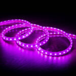 Ruban LED flexible RGB émettant une lumière violette en boucles, gaine translucide