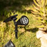 Spot LED solaire sur piquet noir, tête ronde à plusieurs LED et panneau solaire intégré