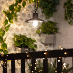 Suspension extérieure en métal noir à globe en verre transparent, suspendue par chaîne