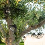 Guirlande Solaire Extérieure d'Ampoules LED Kodos 6.5m – Image 4