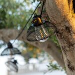 Guirlande Solaire Extérieure d'Ampoules LED Kodos 6.5m – Image 5