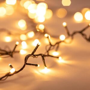 Rallonge 6m pour Guirlande Extérieure LED Câble Noir