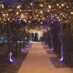 Rideau de Guirlande LED Dimmable 2.25m – Image 2