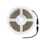 Ruban LED 24V DC 120LED/m 5m IP65 Largeur 8mm Coupe tous les 5cm – Image 2