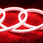 Ruban LED Néon Digital SPI 24V RGBIC 5m IP65 Kit avec Alimentation et Contrôleur – Image 17