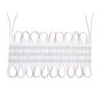 Module LED 20 Pièces 24W IP65 24V DC pour Enseignes Publicitaires 2.5m Blanc froid 5000K