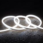 Ruban LED Néon Dimmable 220V N-FLEX8 8W/m Coupe 100cm IP65 Sur mesure Blanc froid 1 m 16 mm x 8 mm x 1 m
